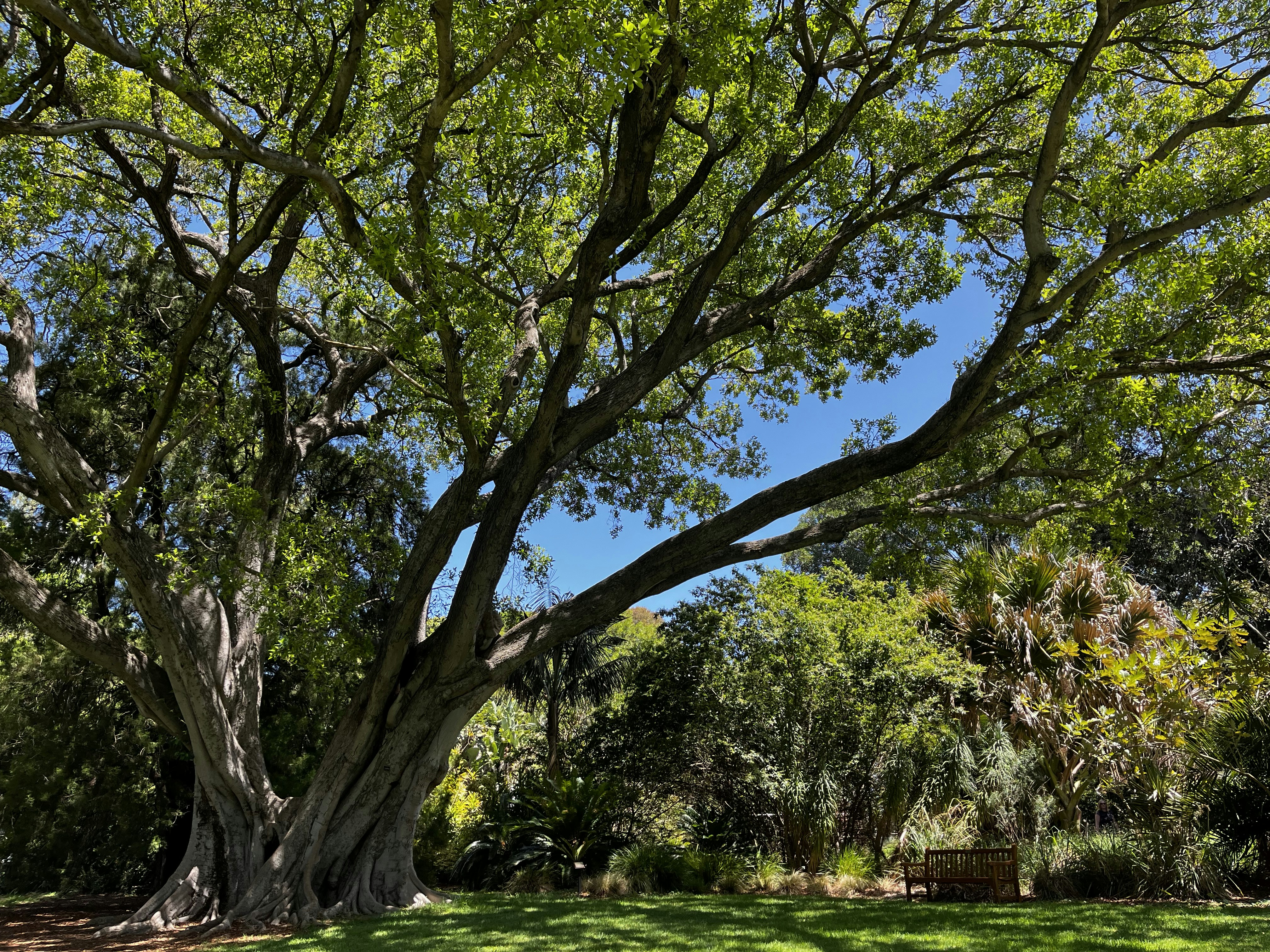 Photo by pierrehenry