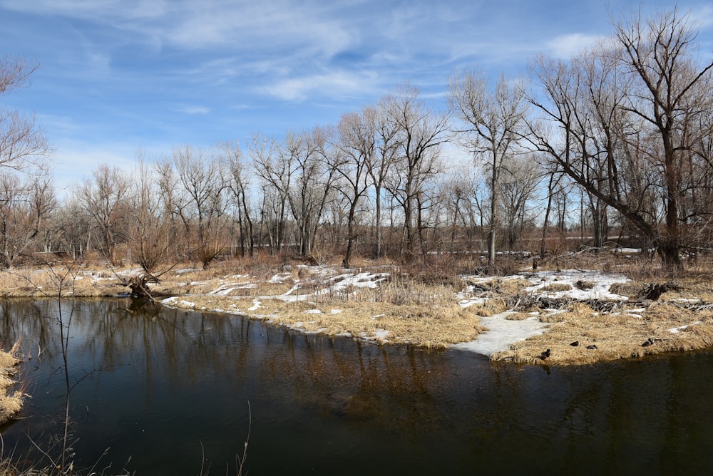 a small river running through a dry grass covered field