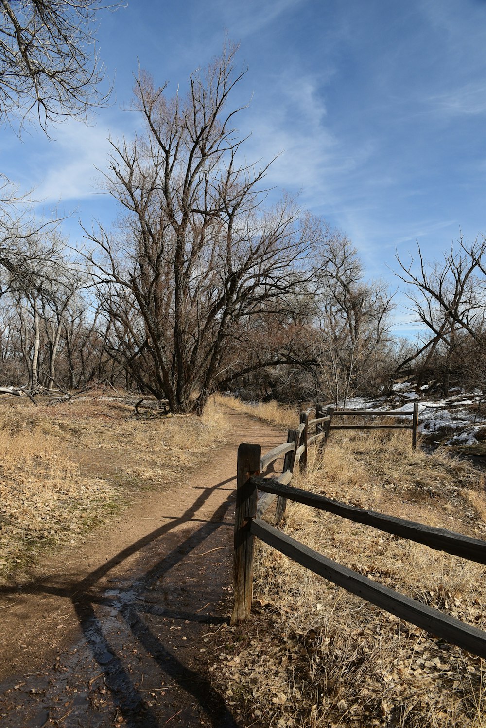 a dirt path with a fence and trees in the background