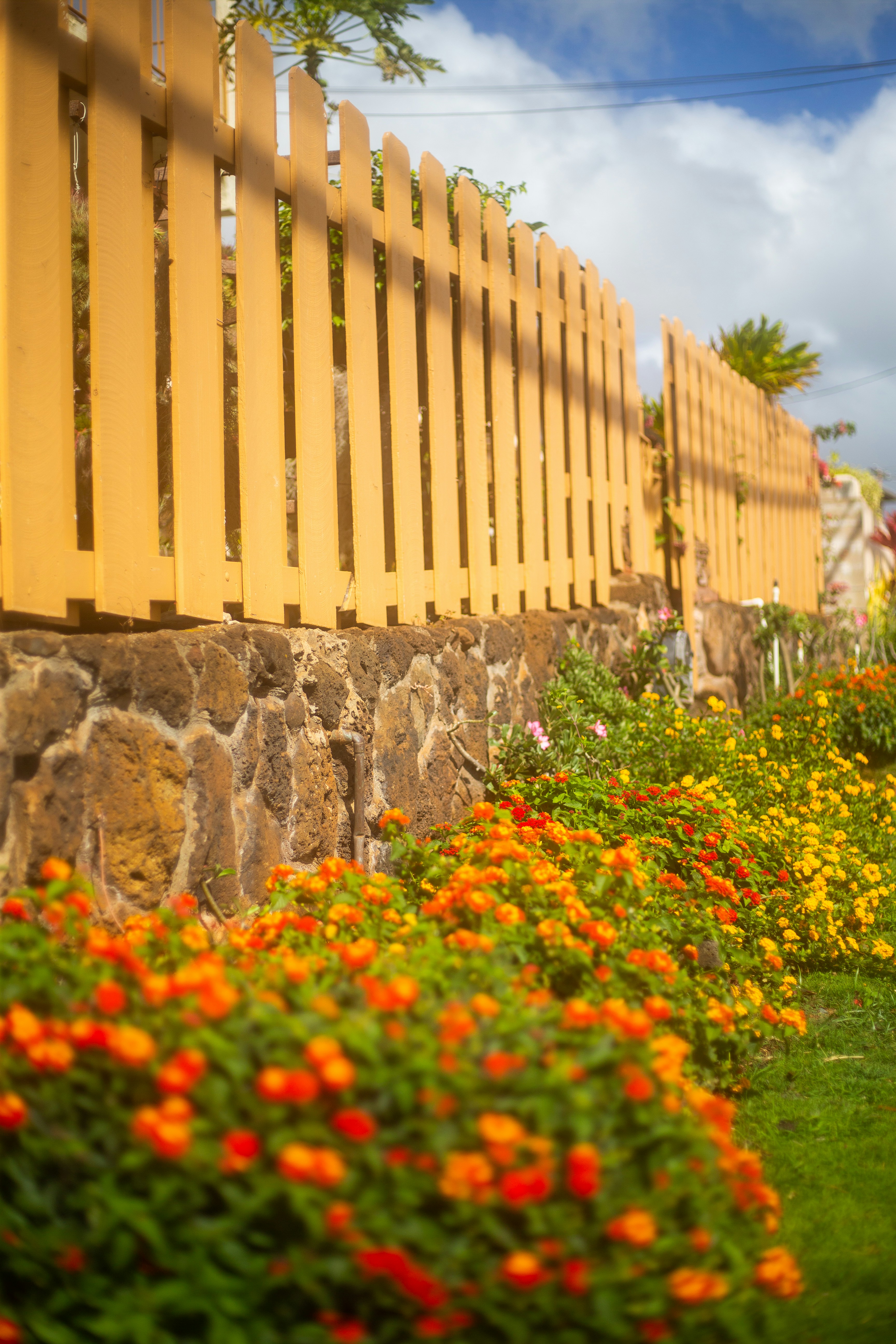 花畑の横にある黄色いピケットフェンス