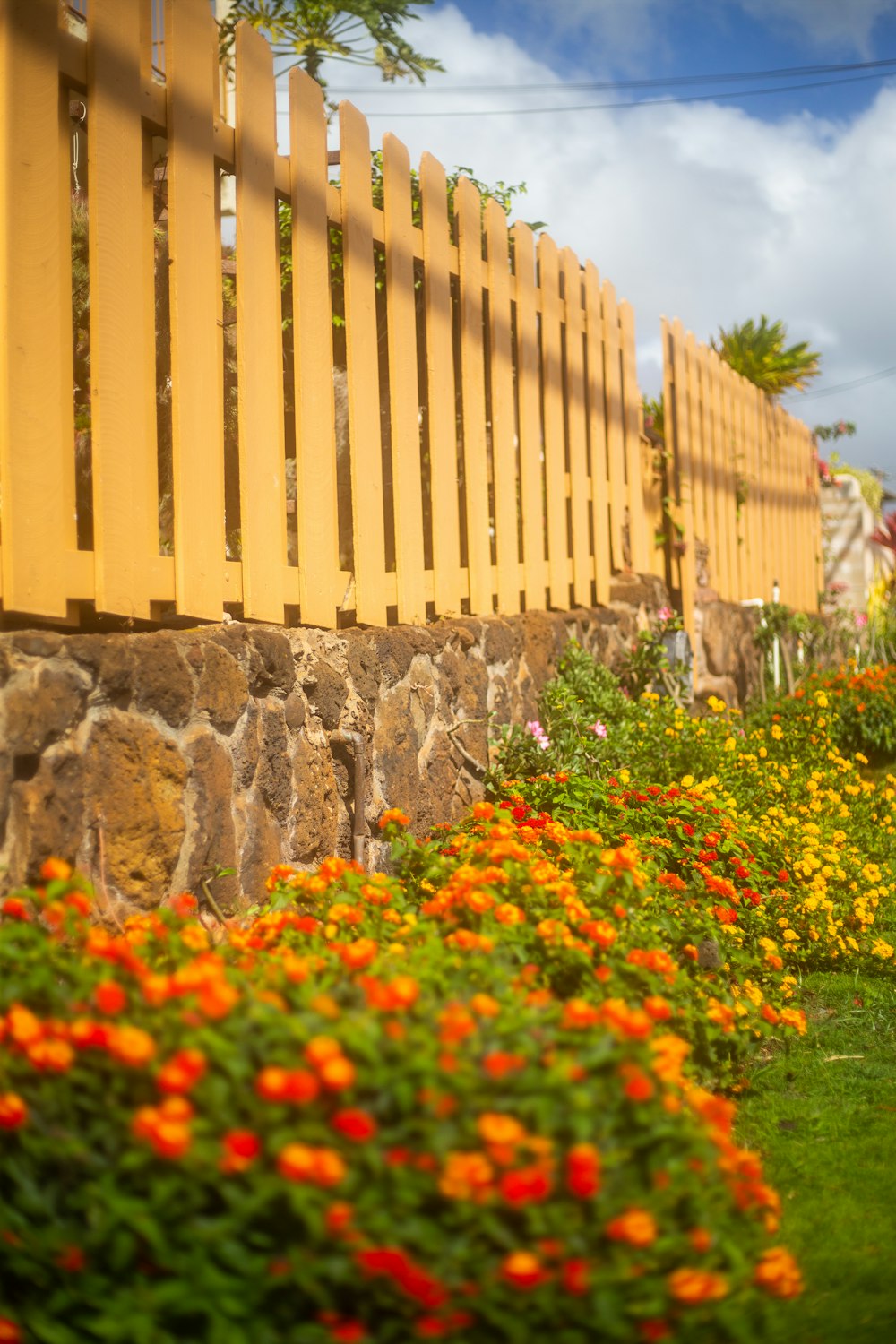 a yellow picket fence next to a flower garden