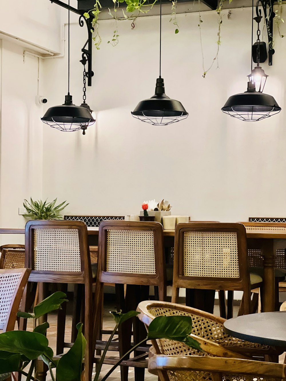 천장에 매달려있는 식물이있는 테이블과 의자가있는 레스토랑