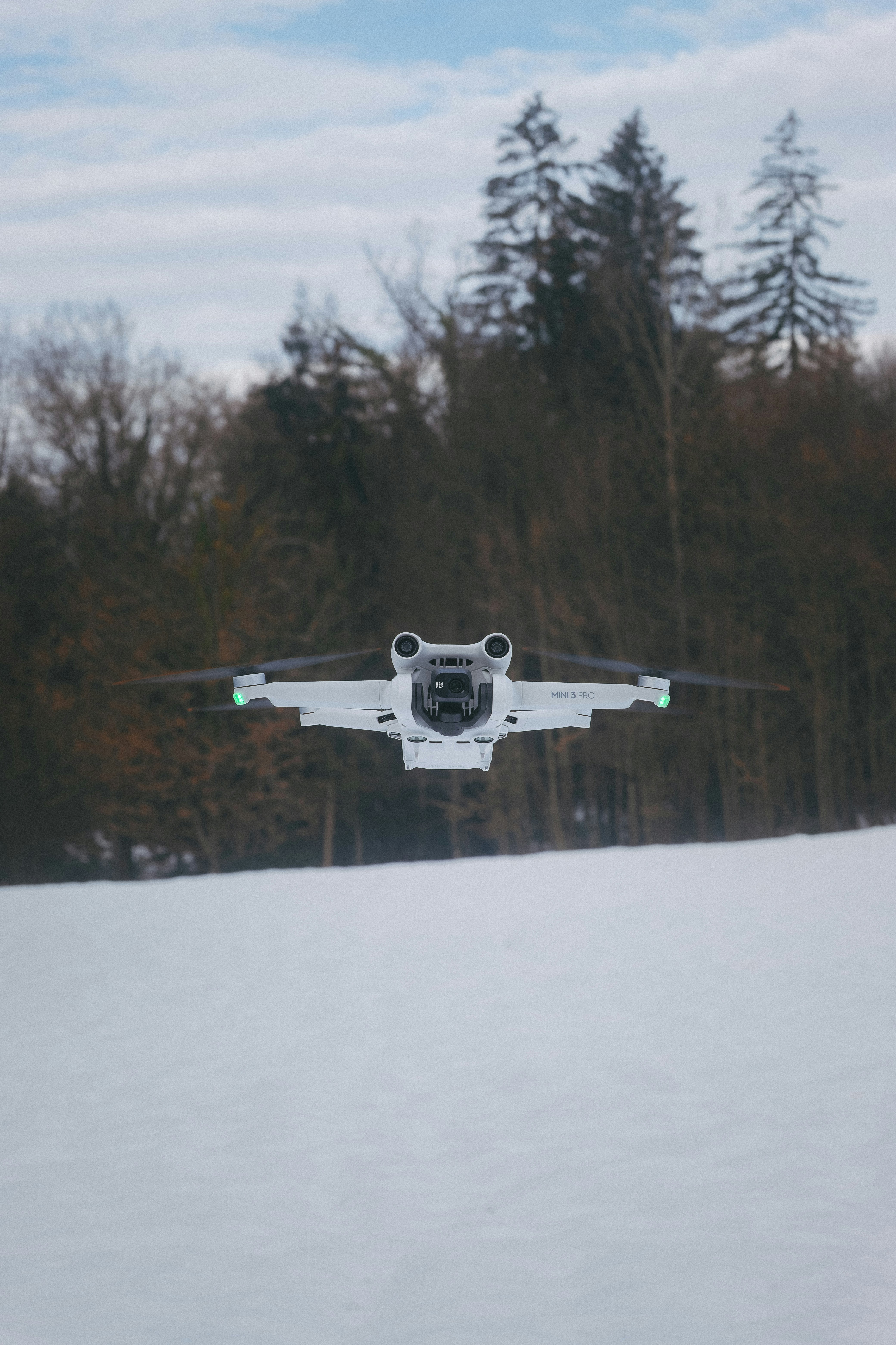 Photo by binezarabec