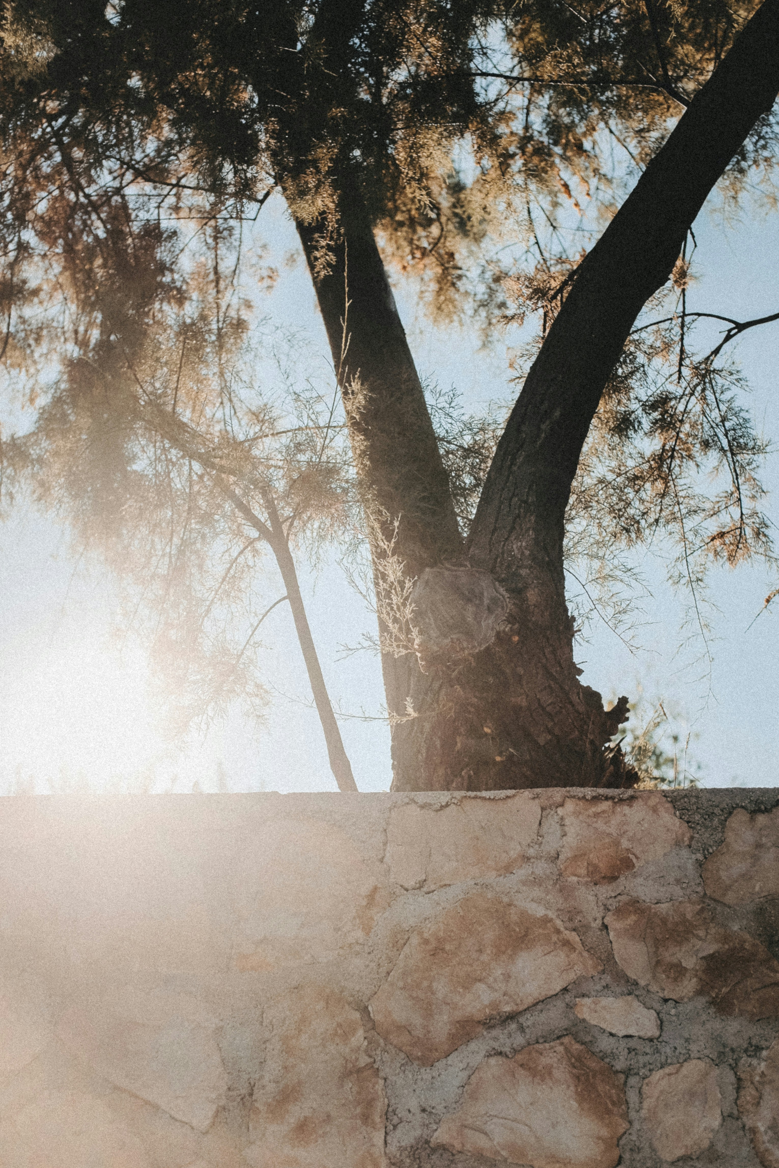 Photo by binezarabec