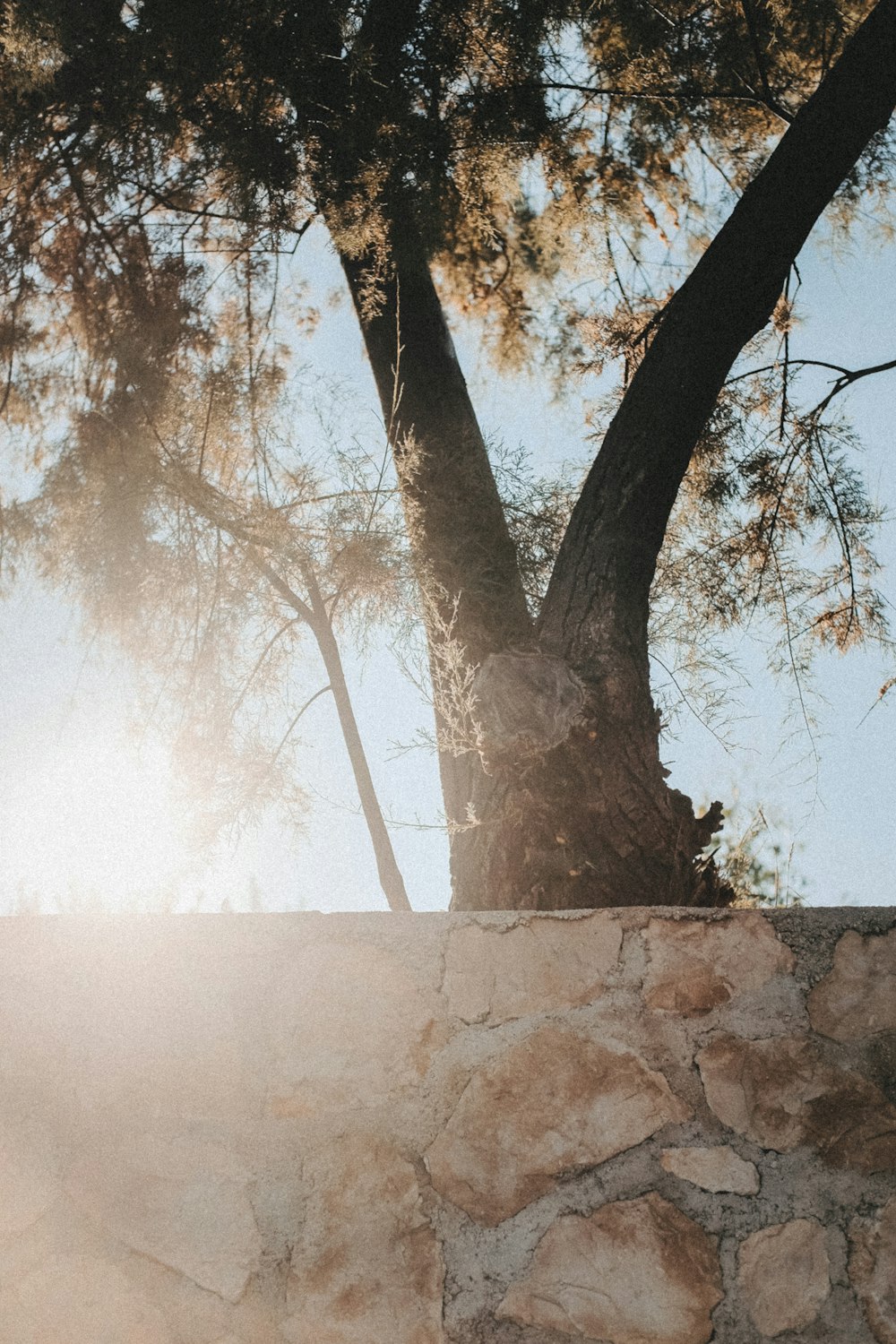 a man riding a skateboard on top of a stone wall