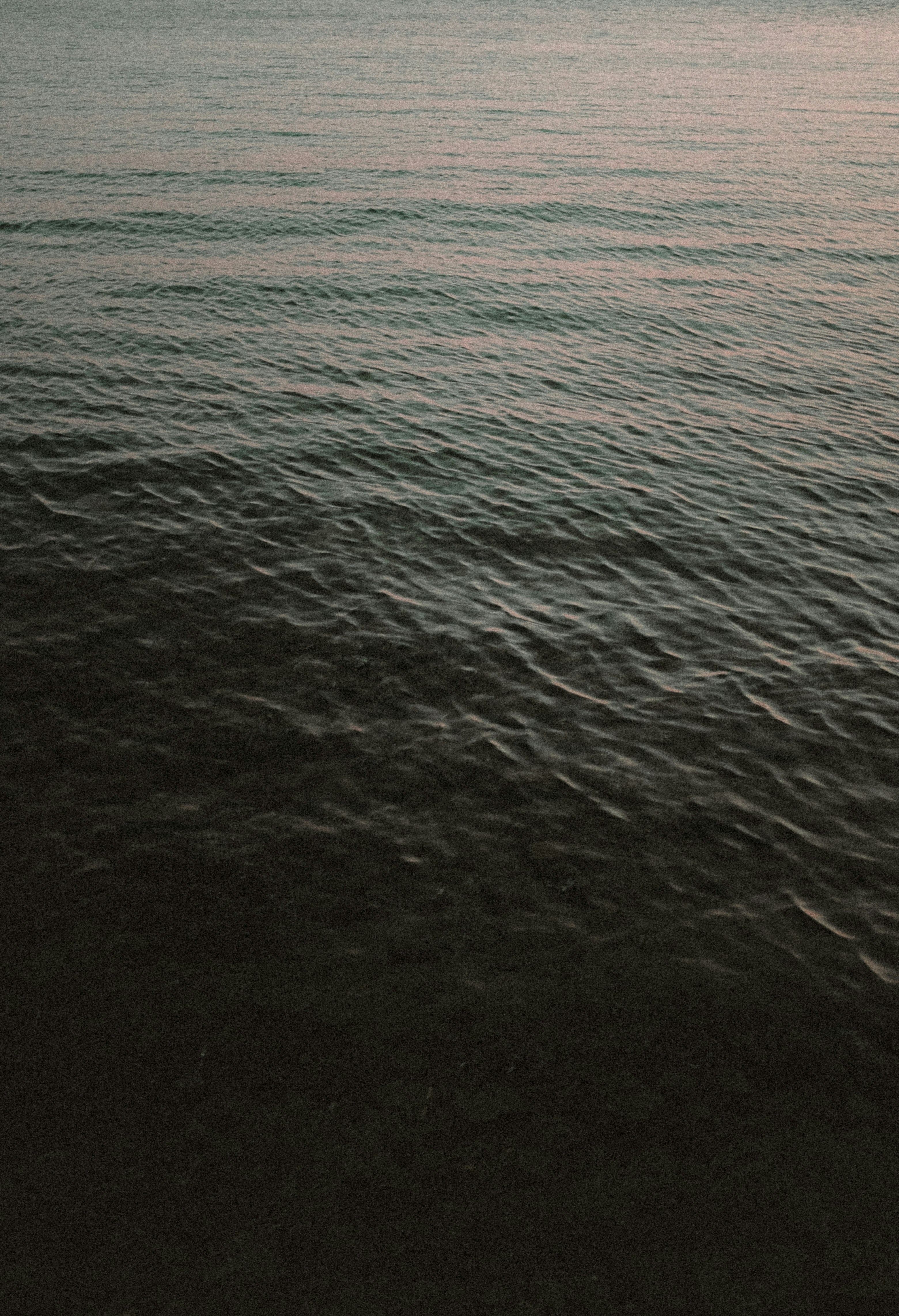 Photo by binezarabec