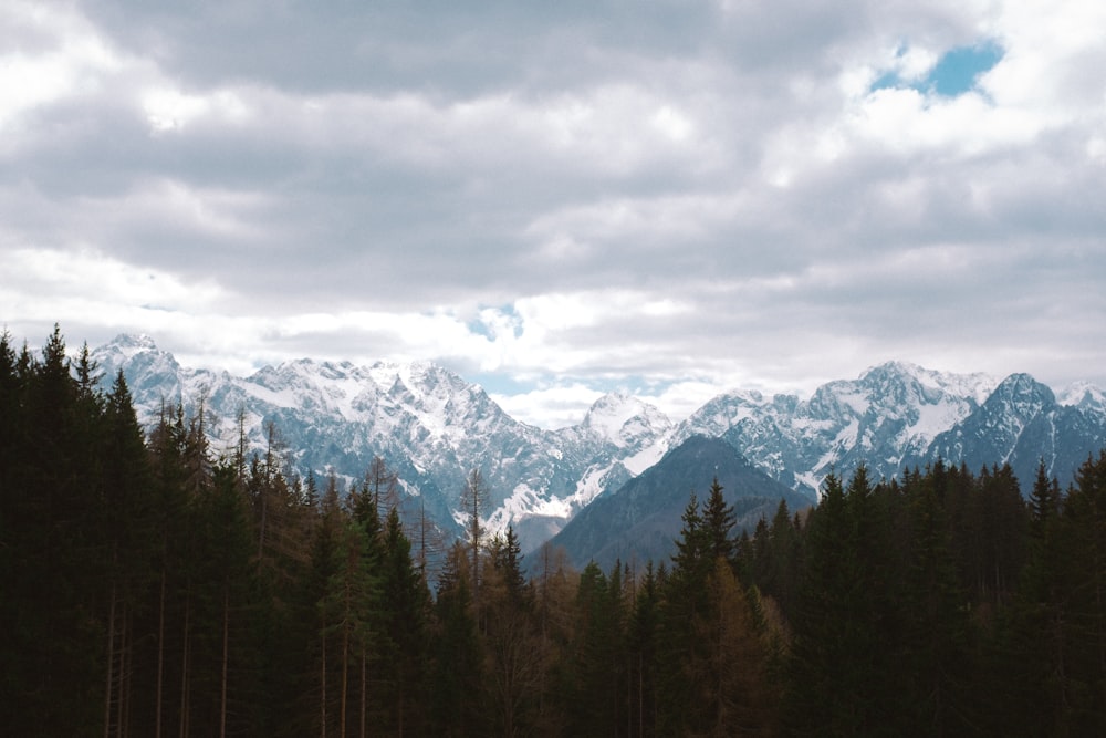 a view of a mountain range with trees in the foreground