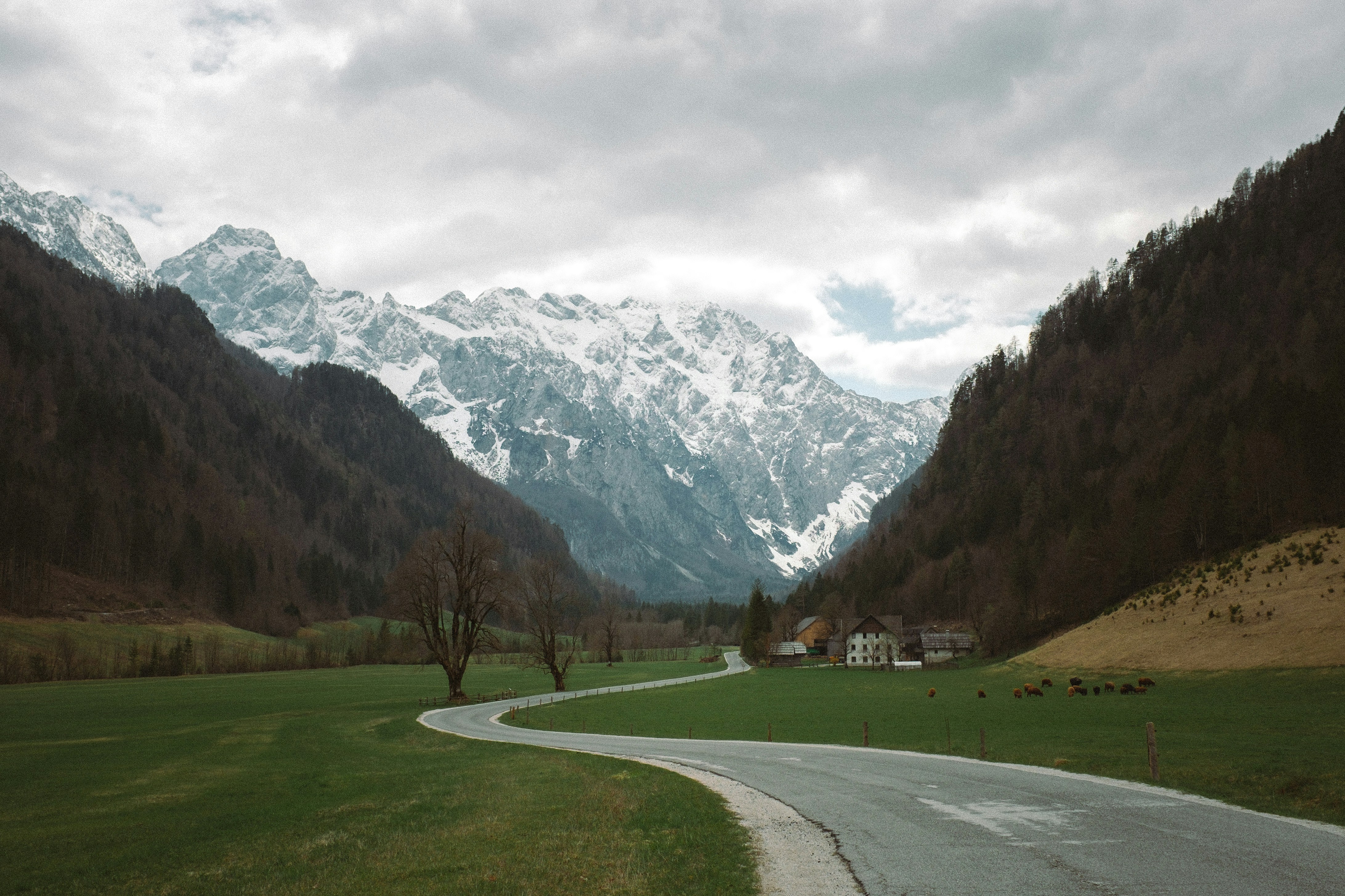 a winding road in the middle of a mountain valley