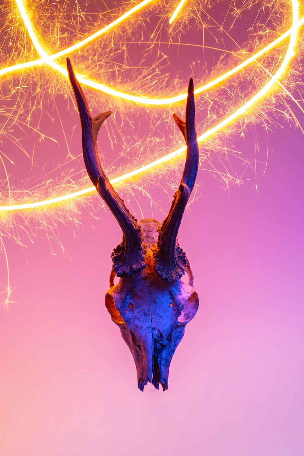a deer skull hanging from a string with firework in the background