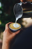 Barista pouring steamed milk to create a swan design on a cappuccino.