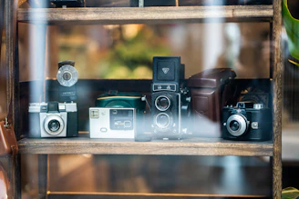 An array of classic and modern cameras displayed on a rustic shelf.