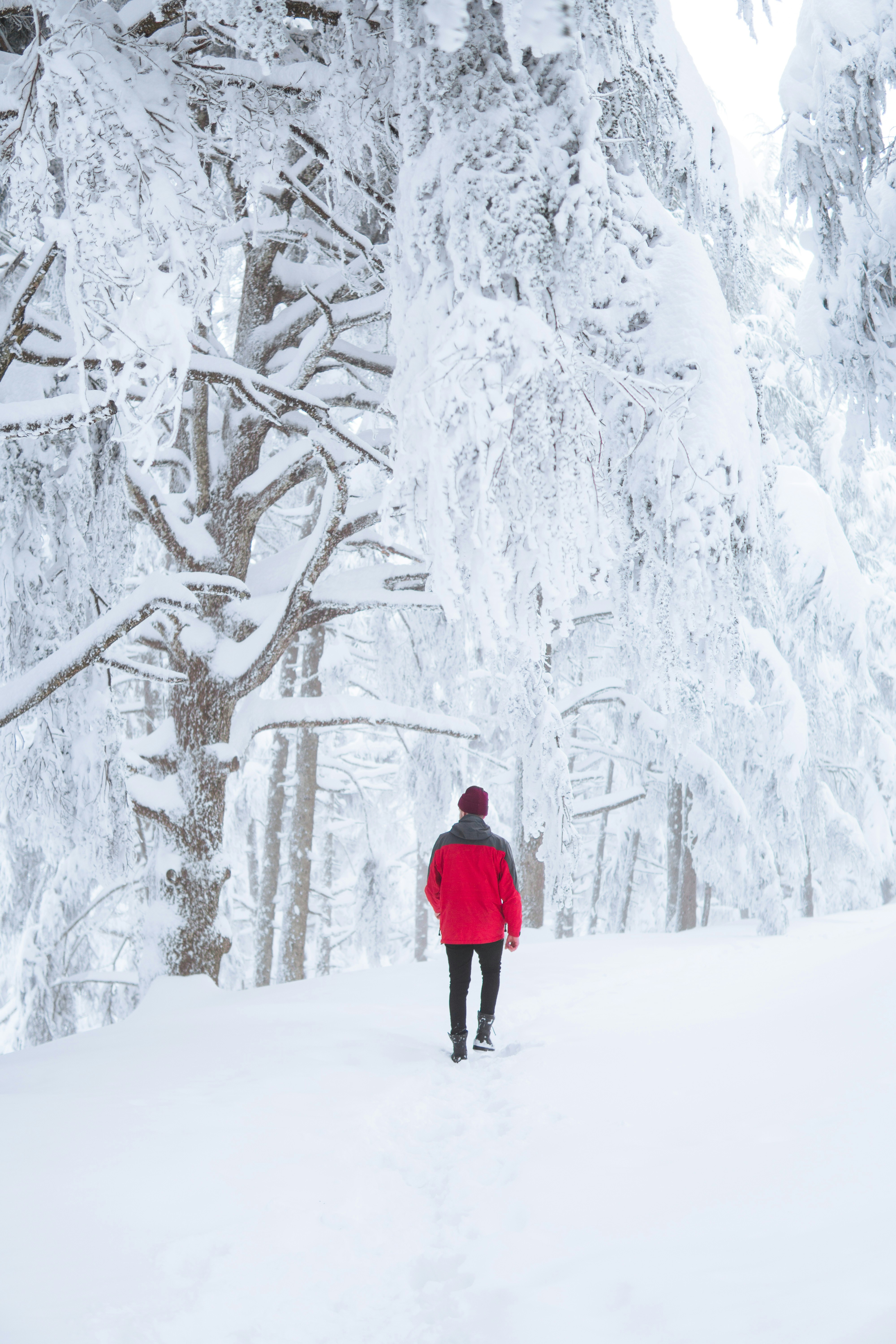 Photo by fethibenattallah