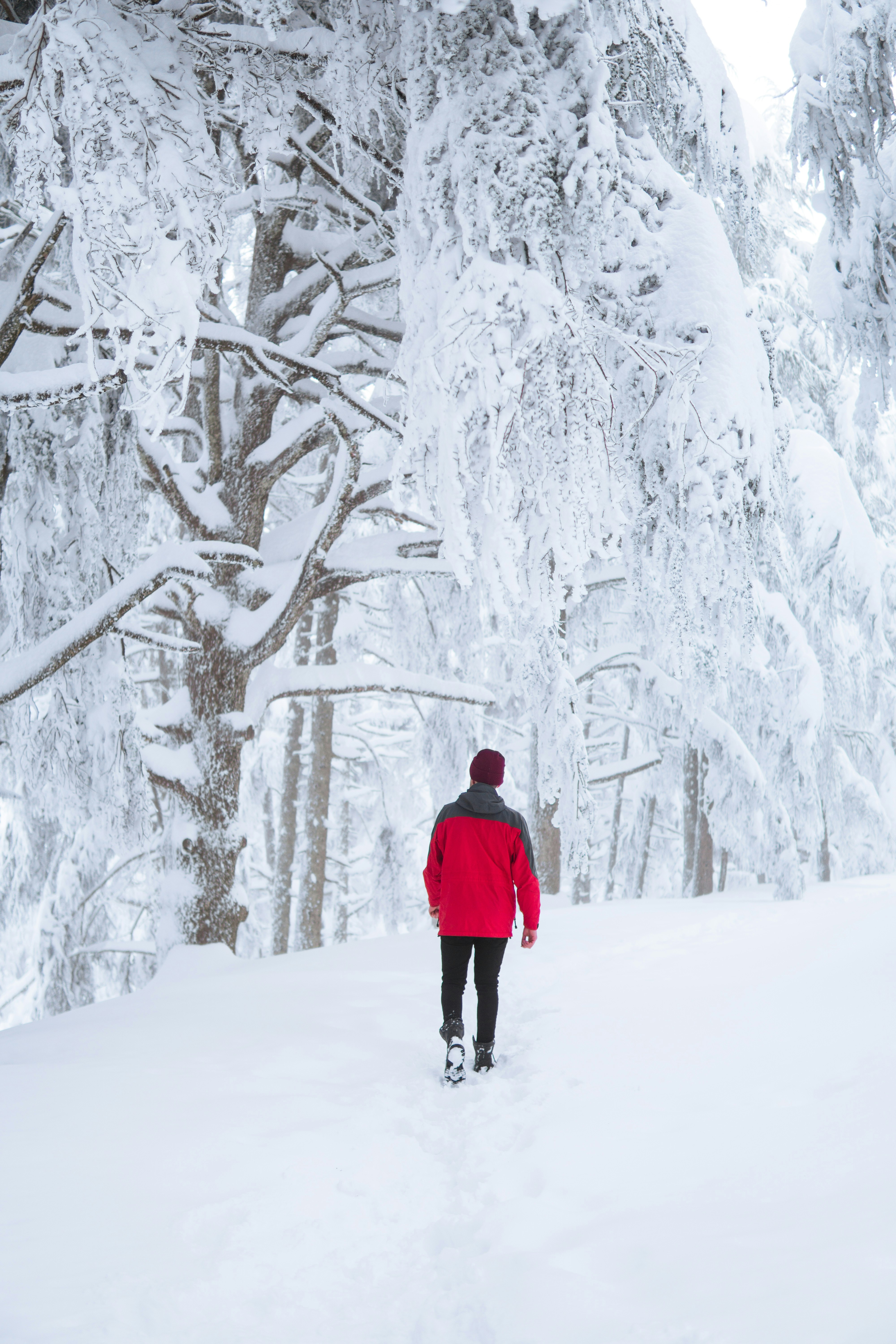 Photo by fethibenattallah