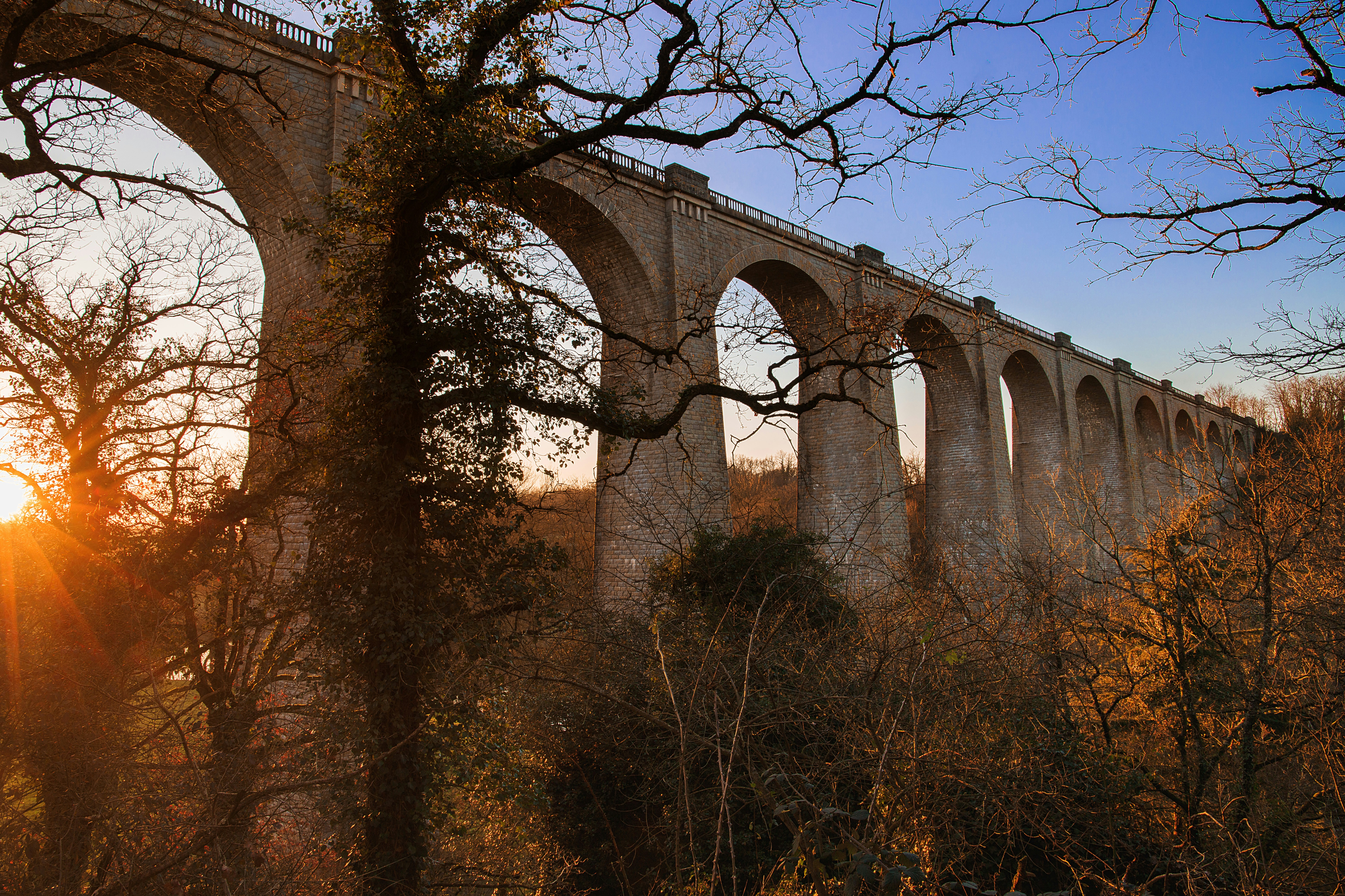 Photo by arizonanthony