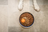 On a tiled floor, there is a dog bowl filled with dry kibble and topped with a raw egg. The paws of a dog are visible, positioned on either side of the bowl.