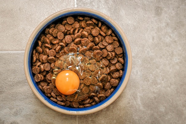 A round ceramic bowl filled with brown pet kibble is placed on a stone or tile surface. In the center of the kibble, there is a raw egg with an unbroken bright orange yolk and transparent egg white.