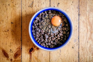 A ceramic bowl filled with kibble and topped with a raw egg rests on a rustic wooden floor. The kibble is predominantly dark brown, and the egg's yolk is a vibrant orange, sitting intact within the egg white.
