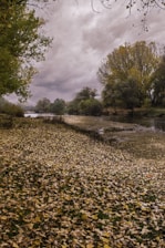 A serene riverbank in autumn with golden leaves gently falling, reflecting calm and peace.
