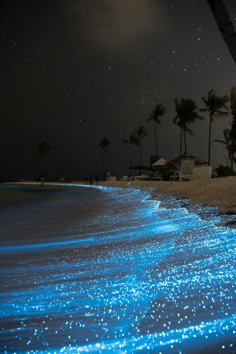 a beach that has some blue lights on it