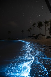 a beach that has some blue lights on it