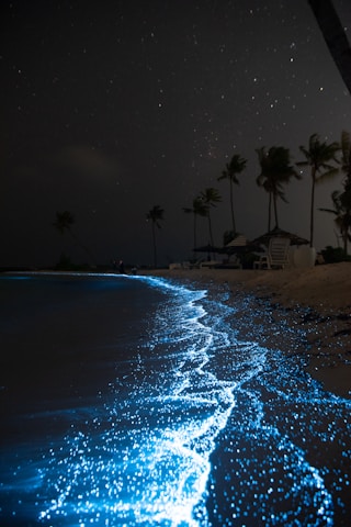a beach that has some blue lights on it