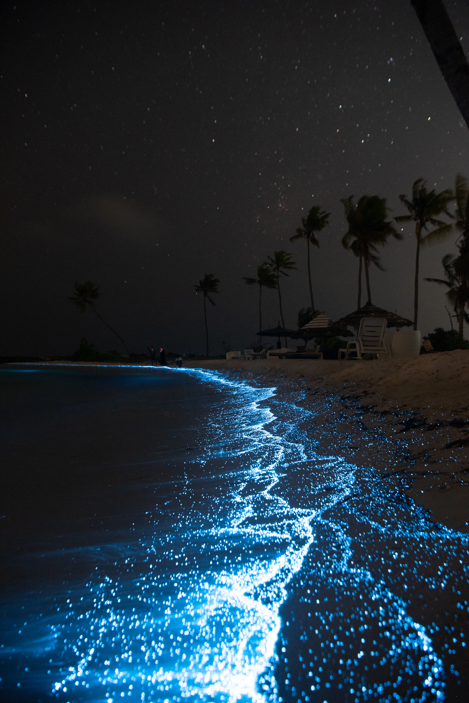 Agua bioluminiscente de noche