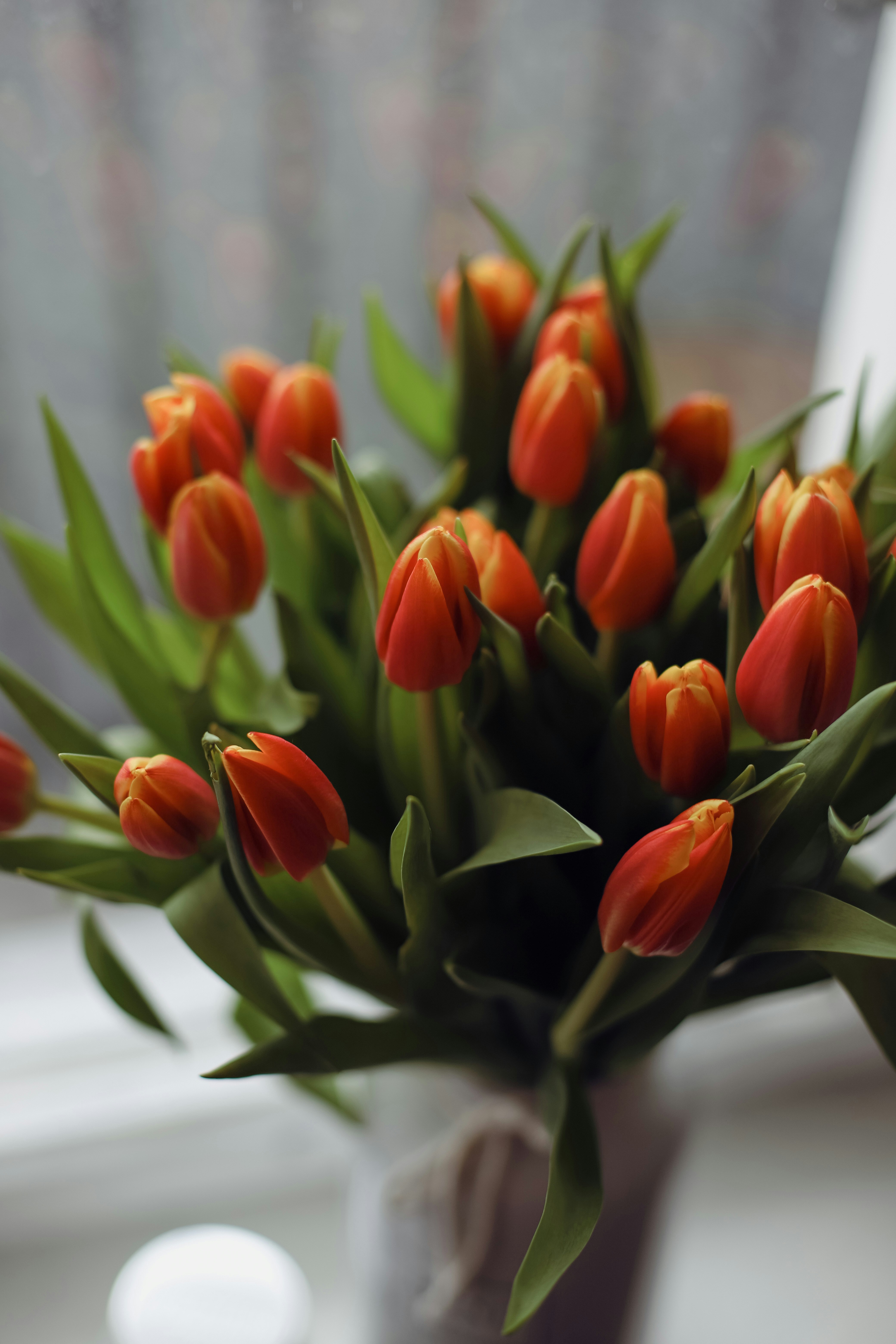 Un ramo de tulipanes naranjas en un jarrón blanco foto – Imagen de Flores  gratuita en Unsplash, image size:3000x4500
