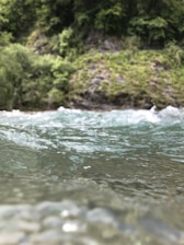 Clear water flows gently over a rocky surface with a lush, green forest in the background.