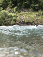 Clear water flows gently over a rocky surface with a lush, green forest in the background.