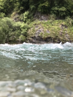 Clear water flows gently over a rocky surface with a lush, green forest in the background.