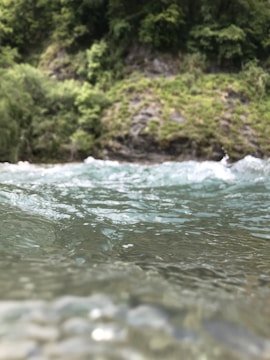 Clear water flows gently over a rocky surface with a lush, green forest in the background.