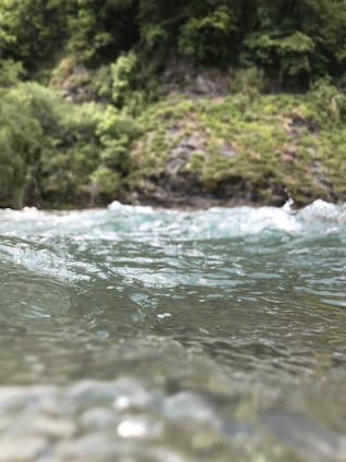 Clear water flowing from a natural spring in a lush environment