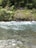 Clear water flows gently over a rocky surface with a lush, green forest in the background.