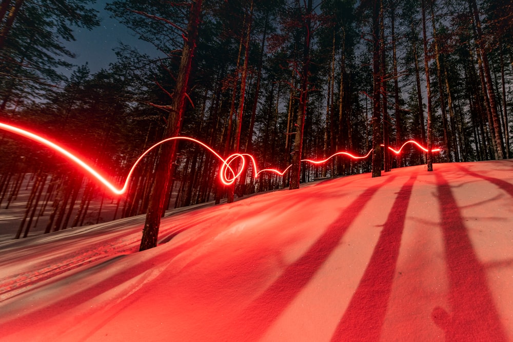 a long exposure photo of a red light in the woods