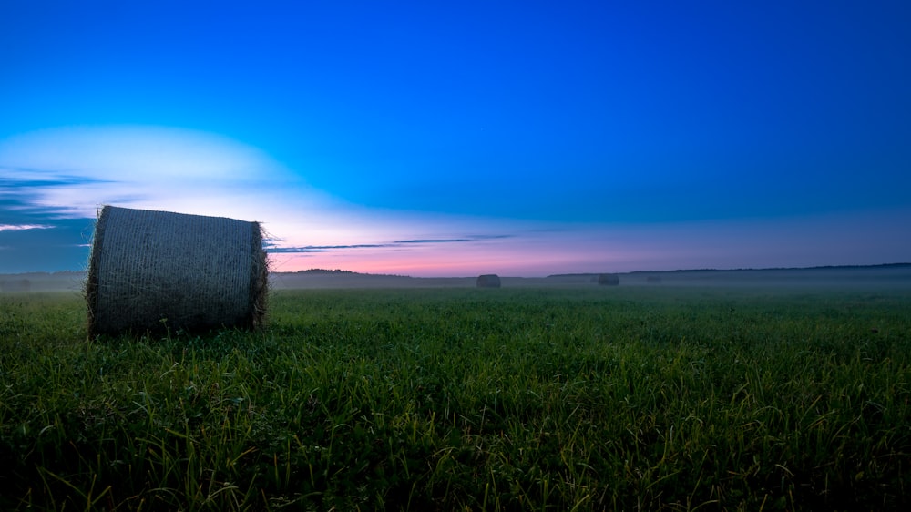 a field with hay bales in the distance