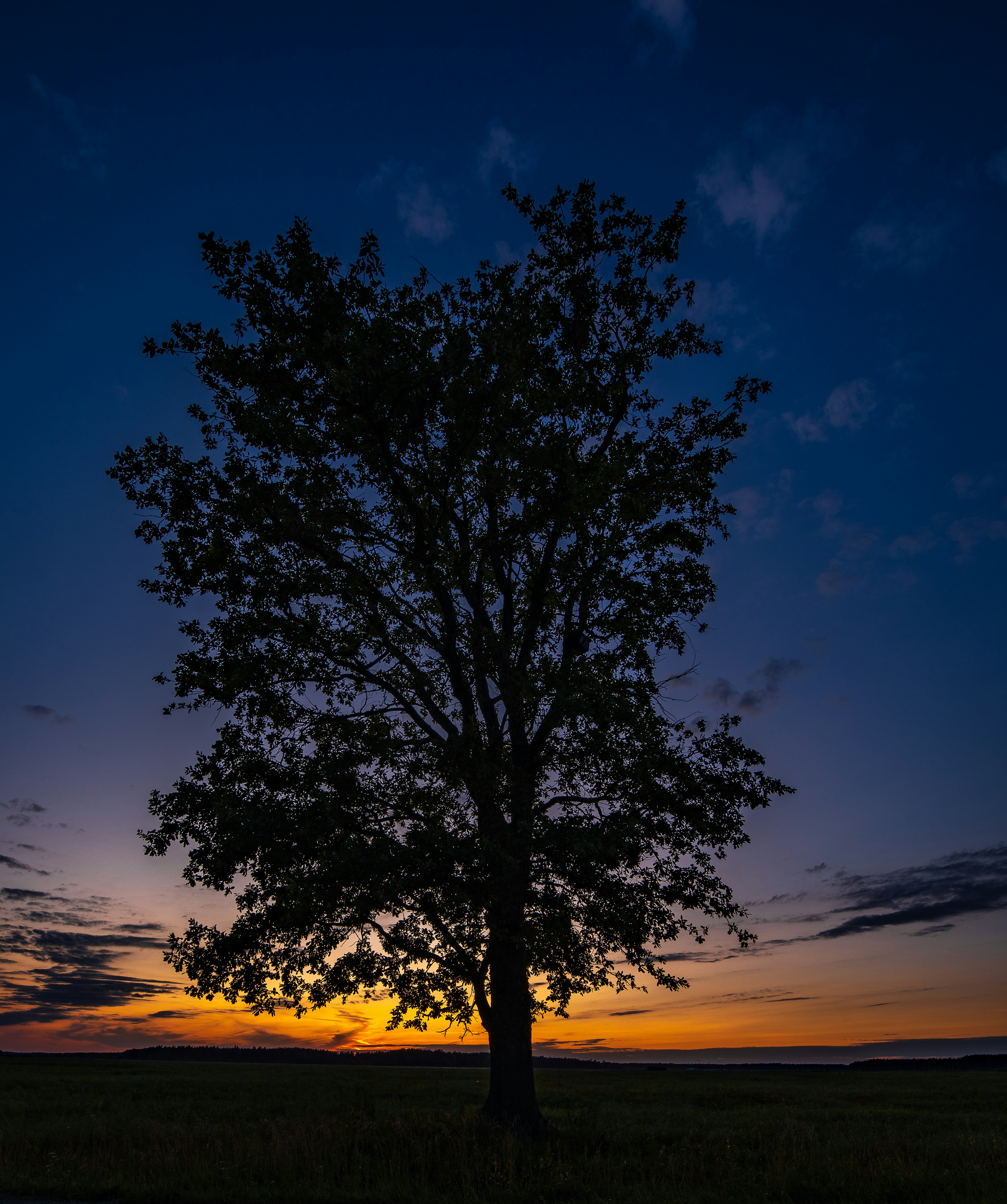 Photo by armandsbrants