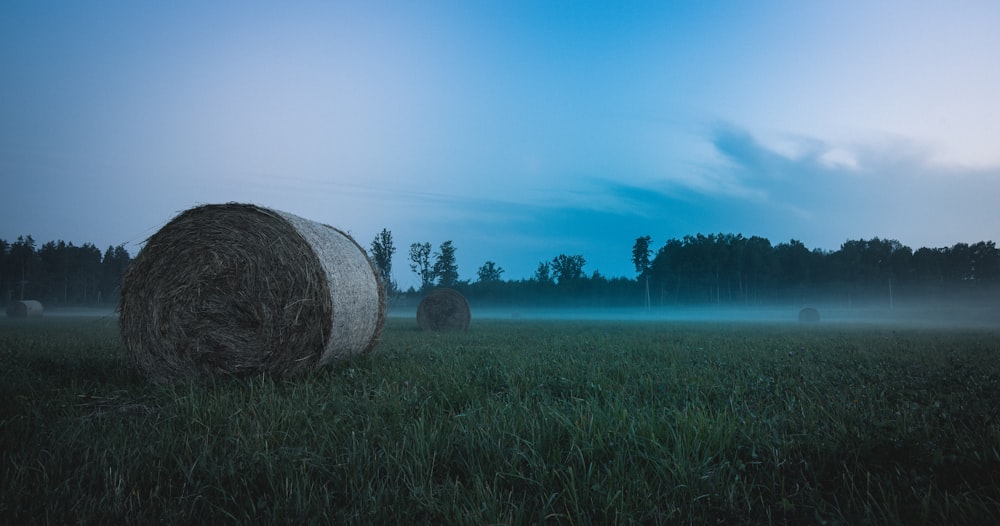 hay bales in a field on a foggy day