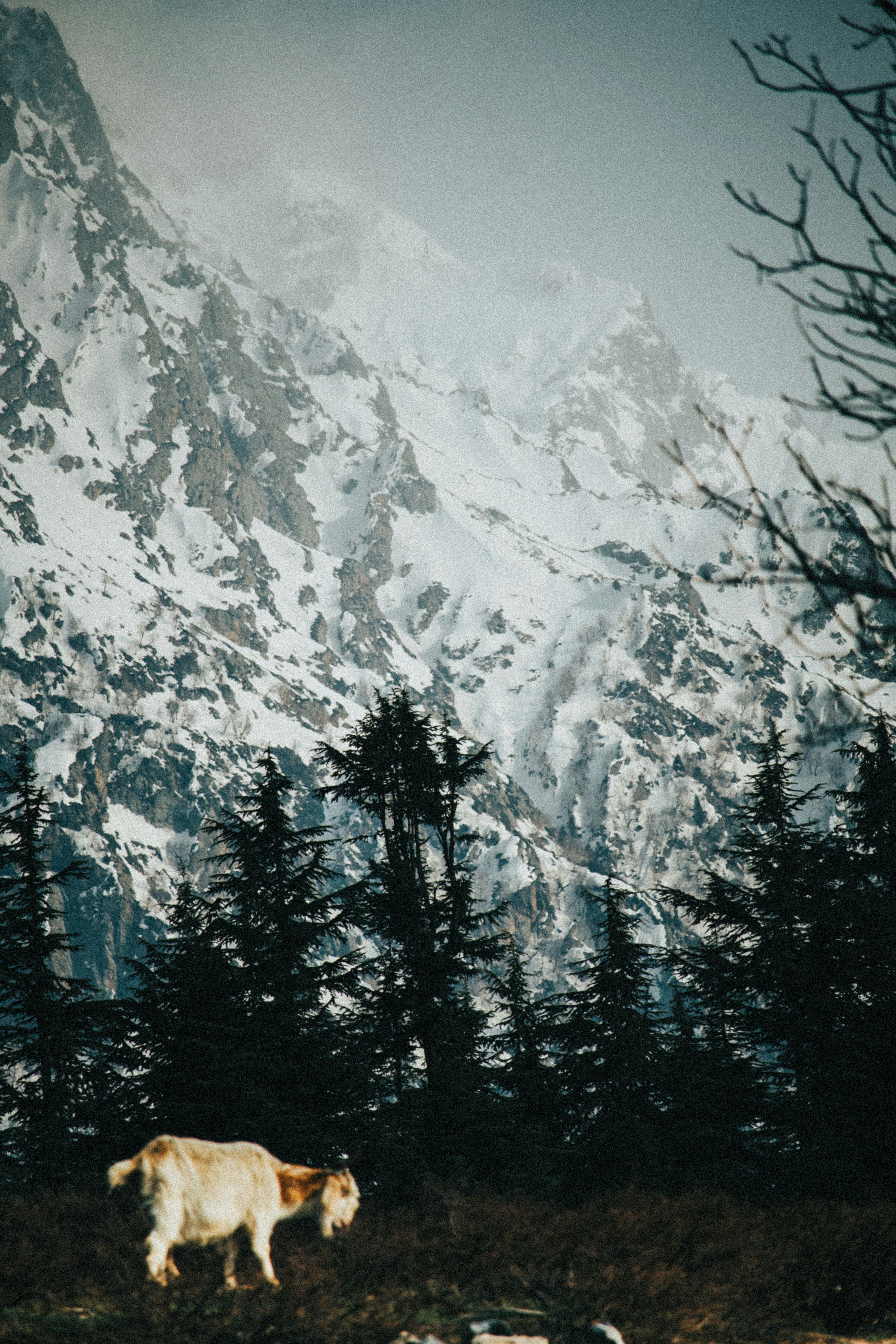 Photo by beingfarooq247365