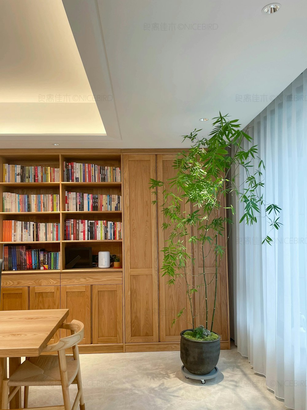 a room with a table, bookshelf, and a potted plant