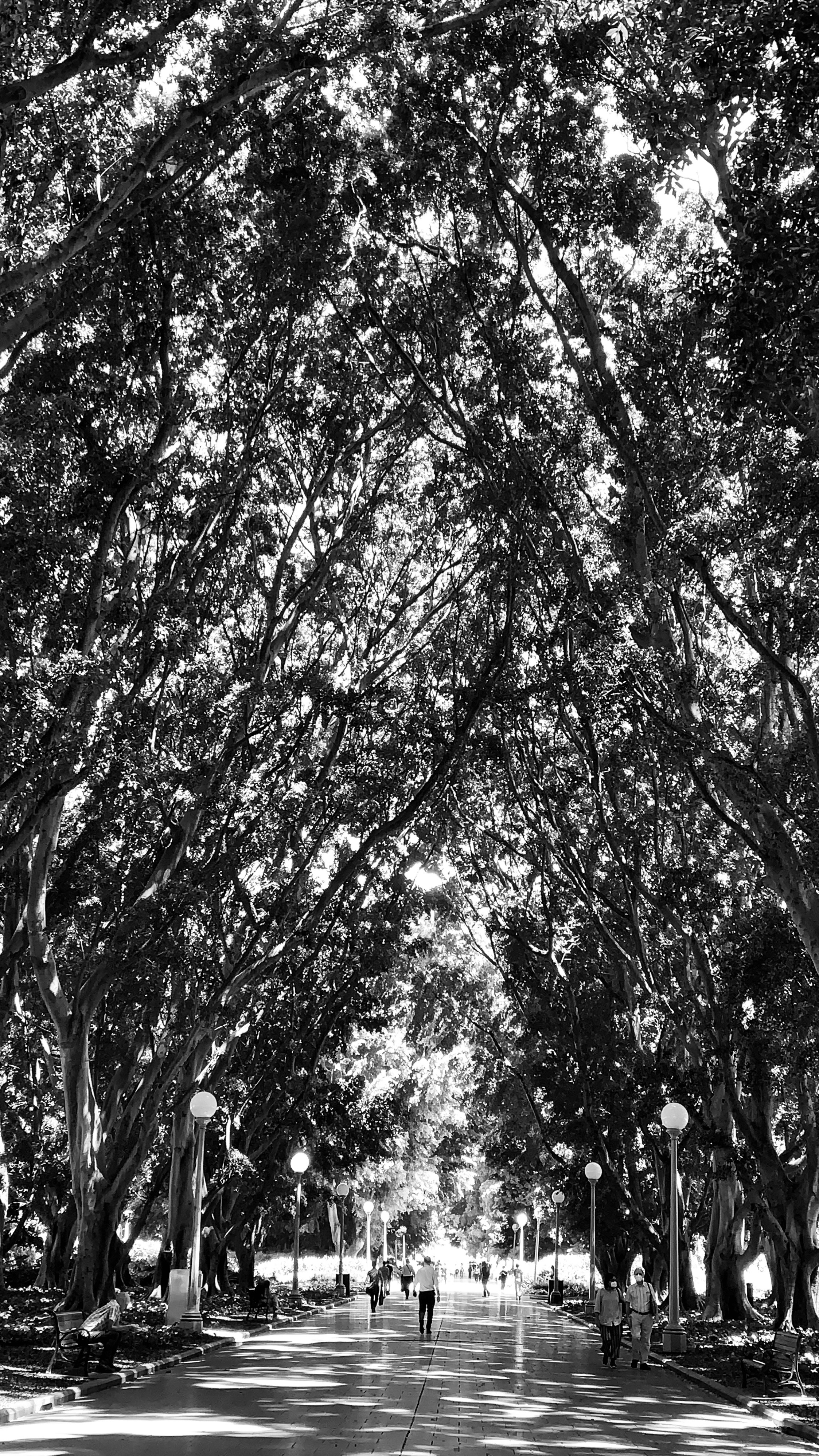 Photo by sandeepsapkota