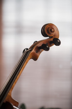 a close up of a violin on a table