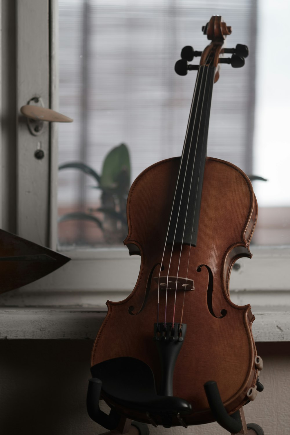 a violin sitting on top of a chair next to a window
