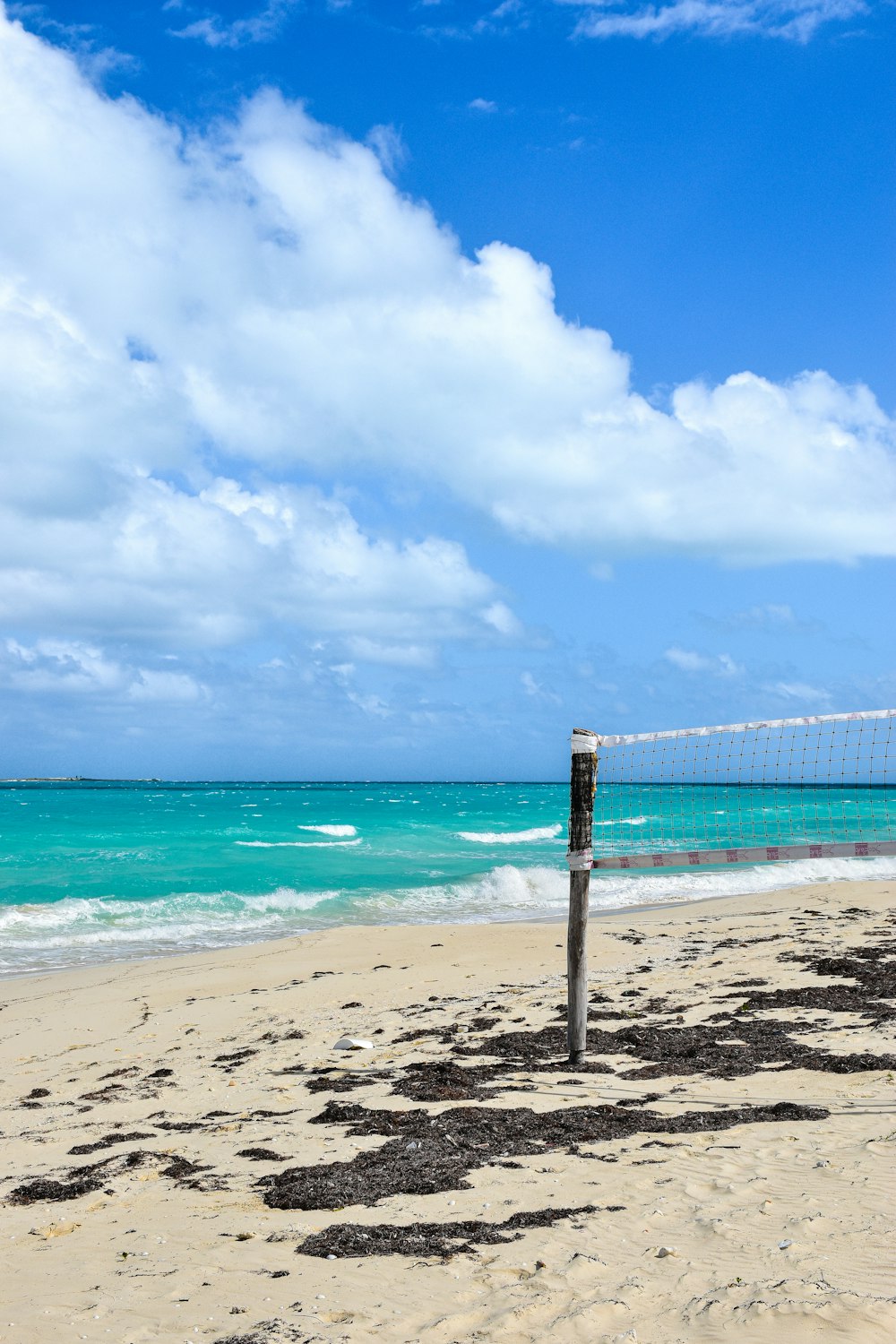 una playa con una red de voleibol