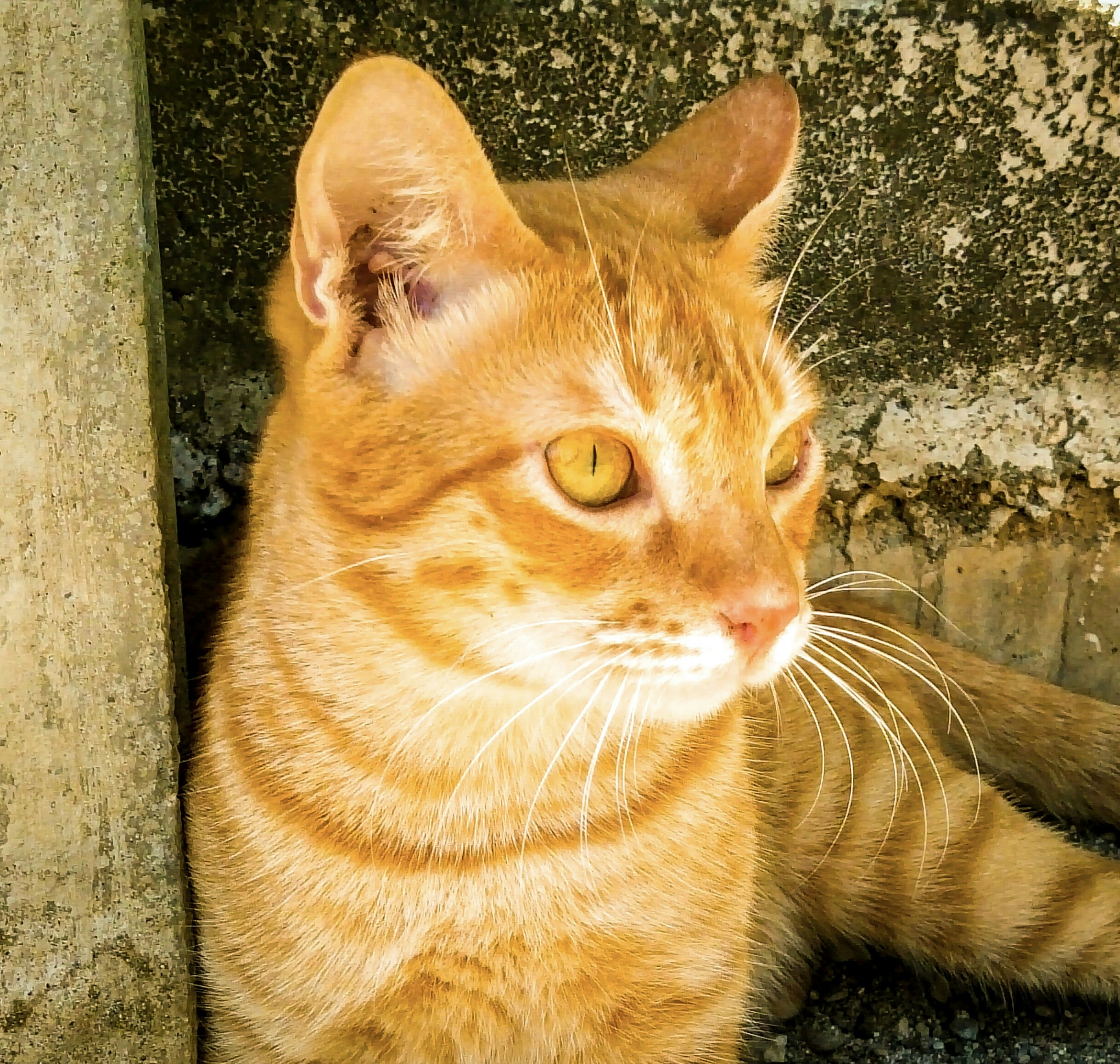 Photo by crea_tenew7