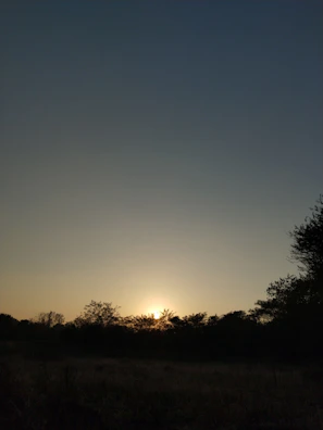 A serene painting of a sunrise symbolizing new beginnings and peace.