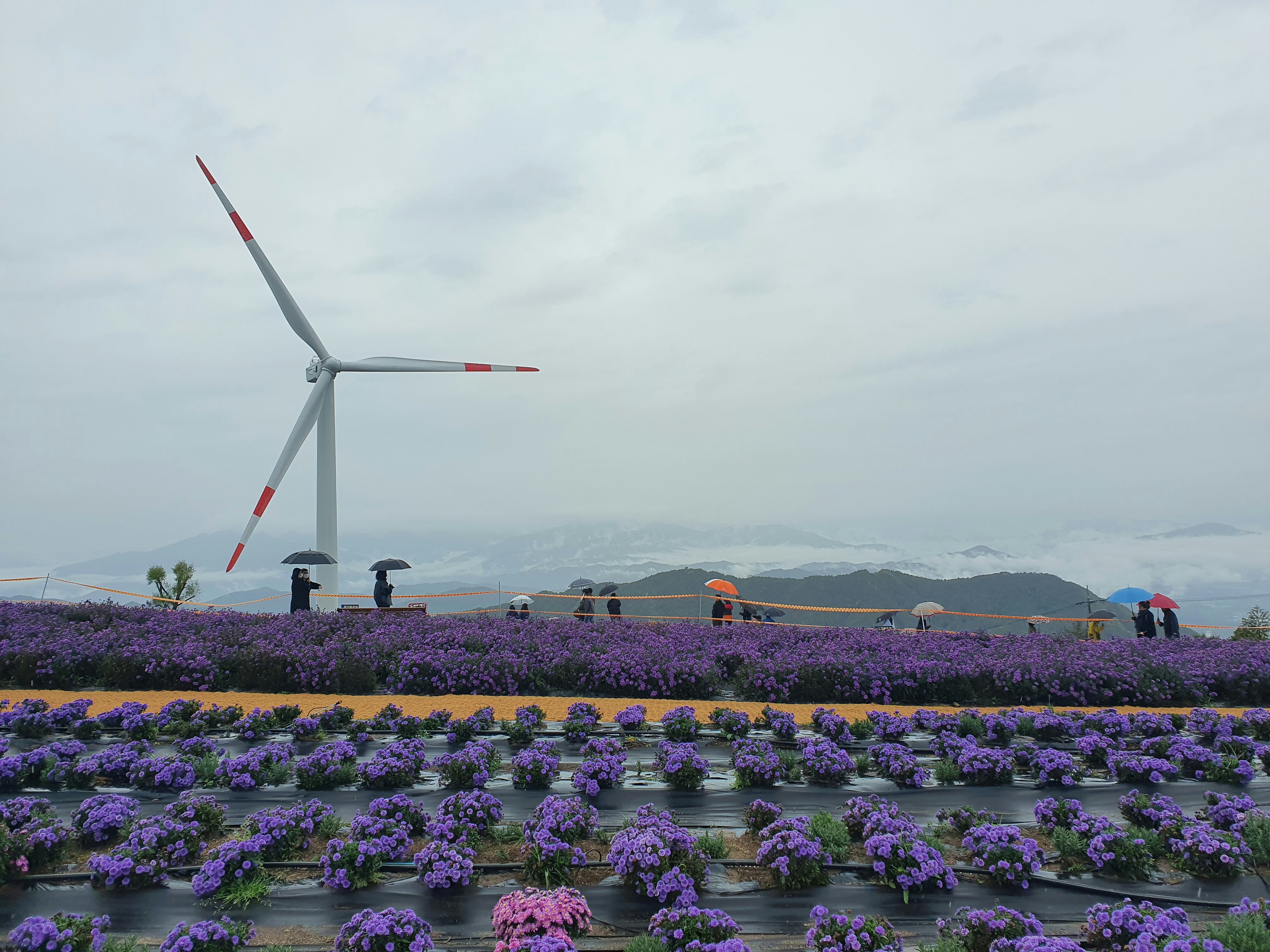 For private individuals