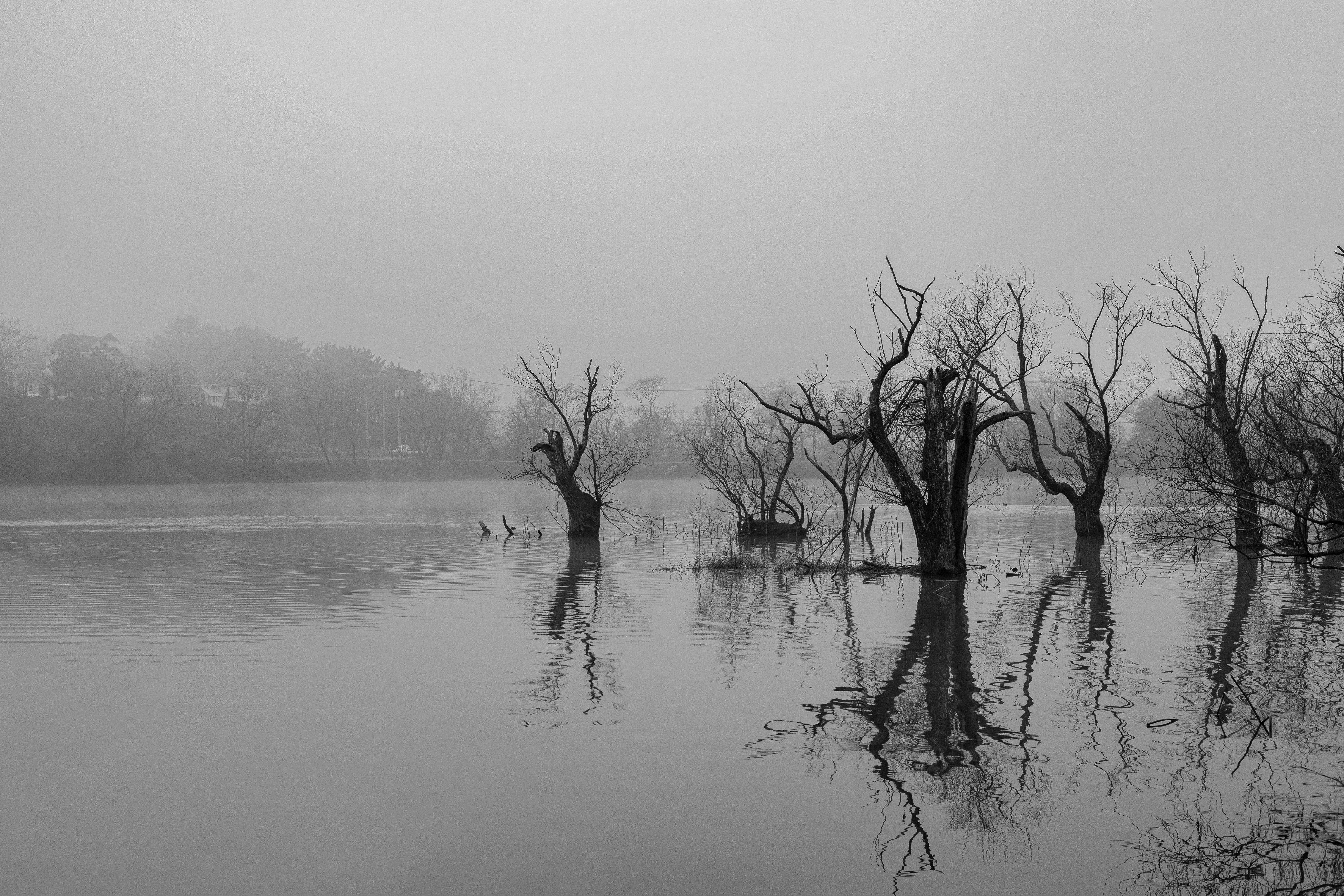 Photo by parkseongjin