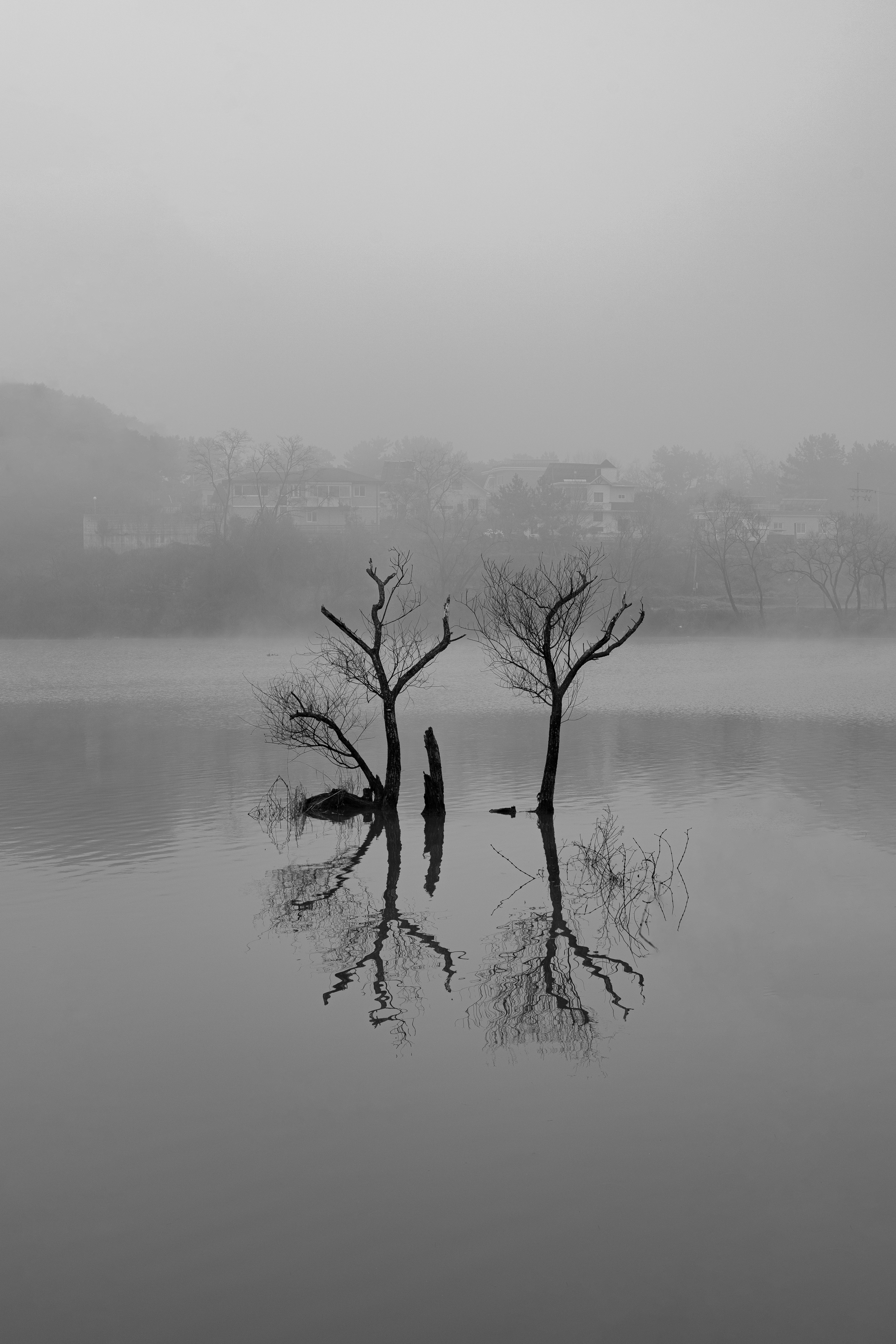 Photo by parkseongjin