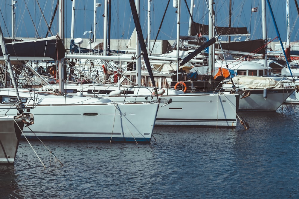 a group of sailboats docked at a marina