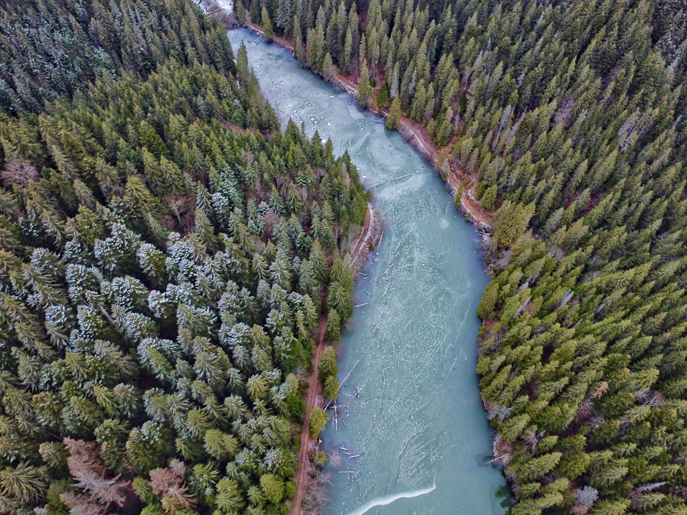 a river running through a forest filled with trees